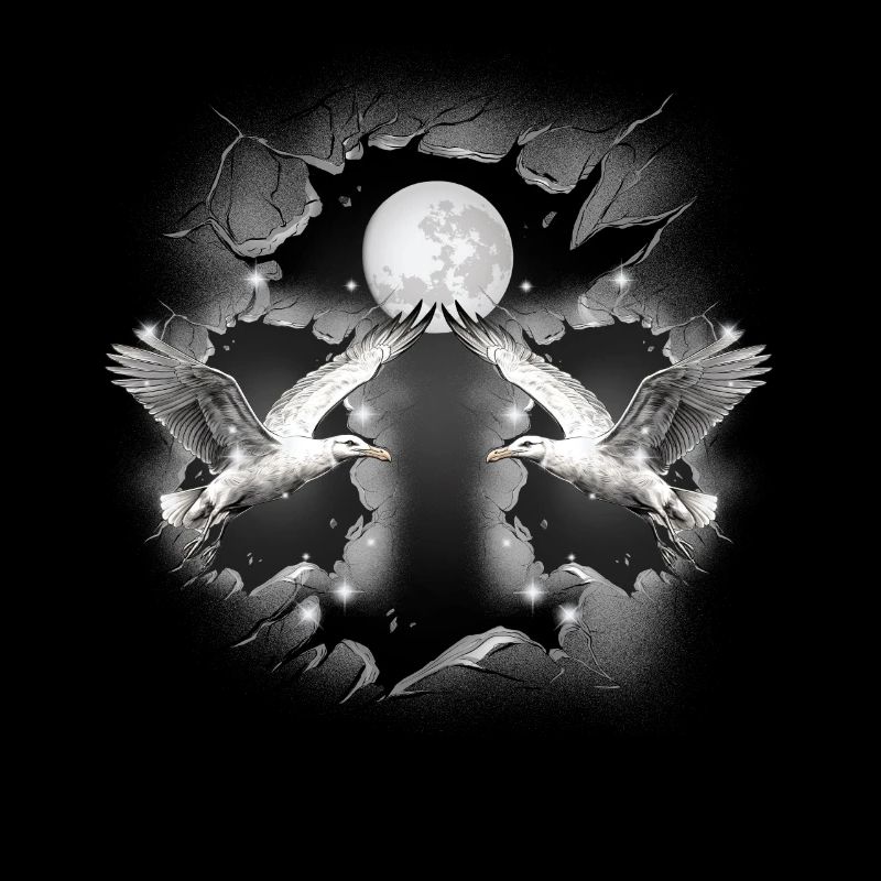 Möwe mystisch maritim Möwen