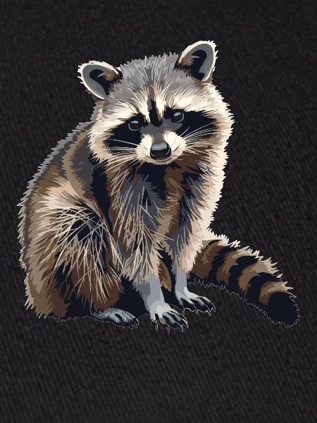 Waschbären Waschbär