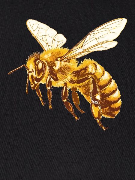 Bienen Biene