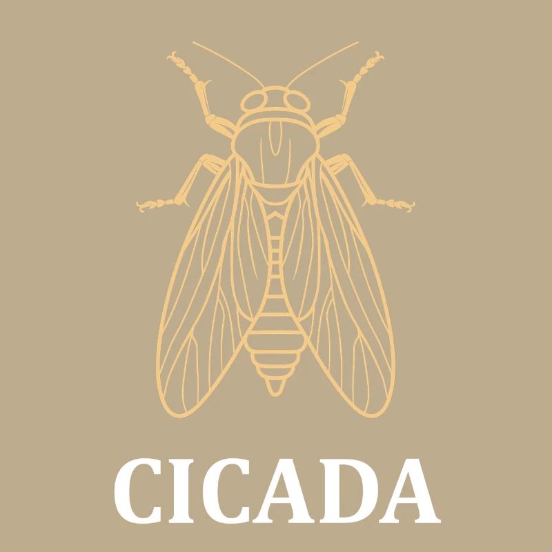 cigale