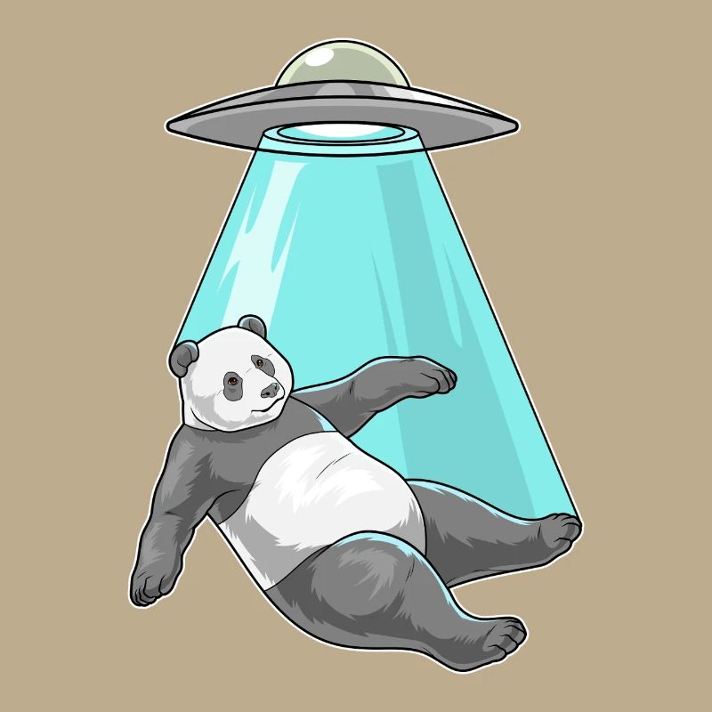 Panda Raumschiff