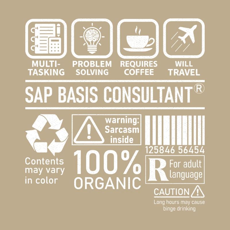 Sap Basis Consultant multi tasking problem solving