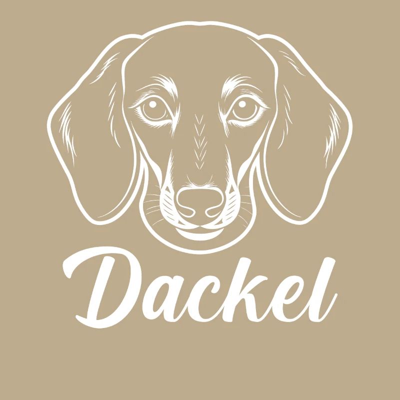 Hund Dackel