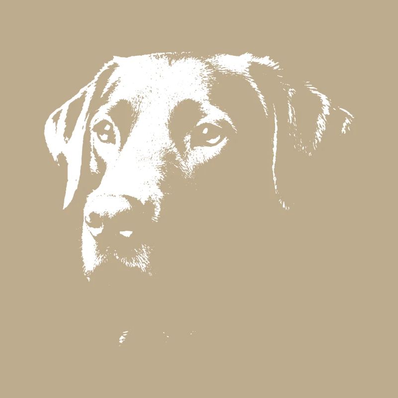 Labrador design stylé