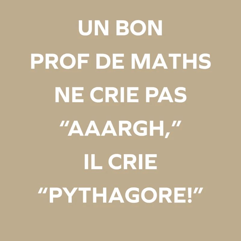 Prof de maths crie Pythagore