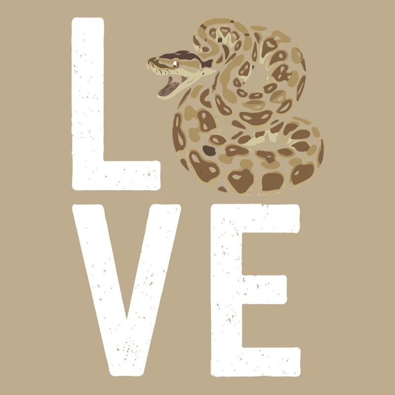 Königspython Schlangen LOVE Terrarium Python