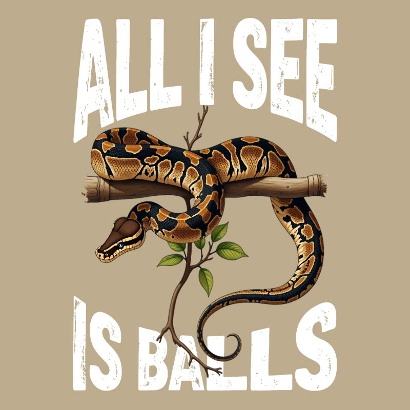 Python roi Serpents Amateurs de terrarium Python