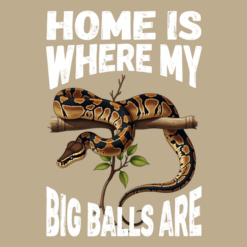 Python roi Serpents Amateurs de terrarium Python