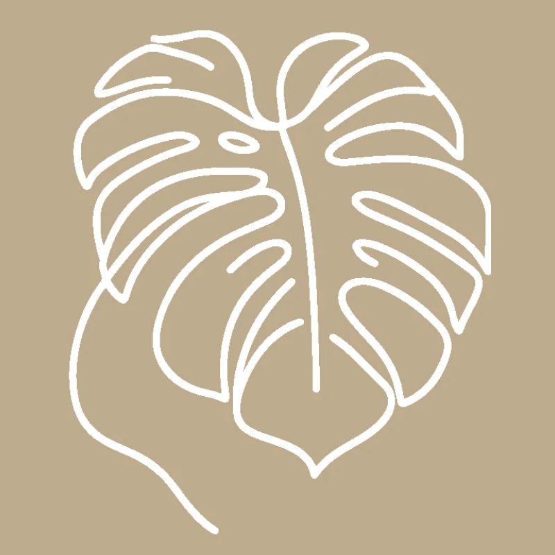 Monstera
