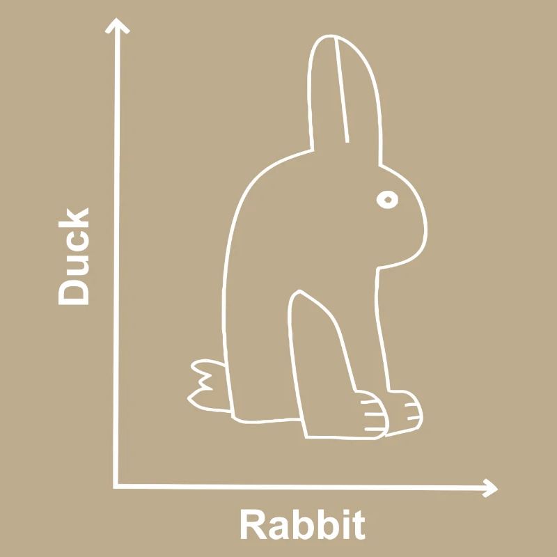 Rabbit Duck Funny Animals