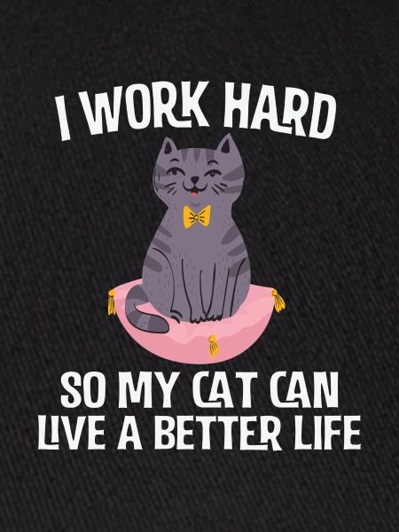 Funny cat