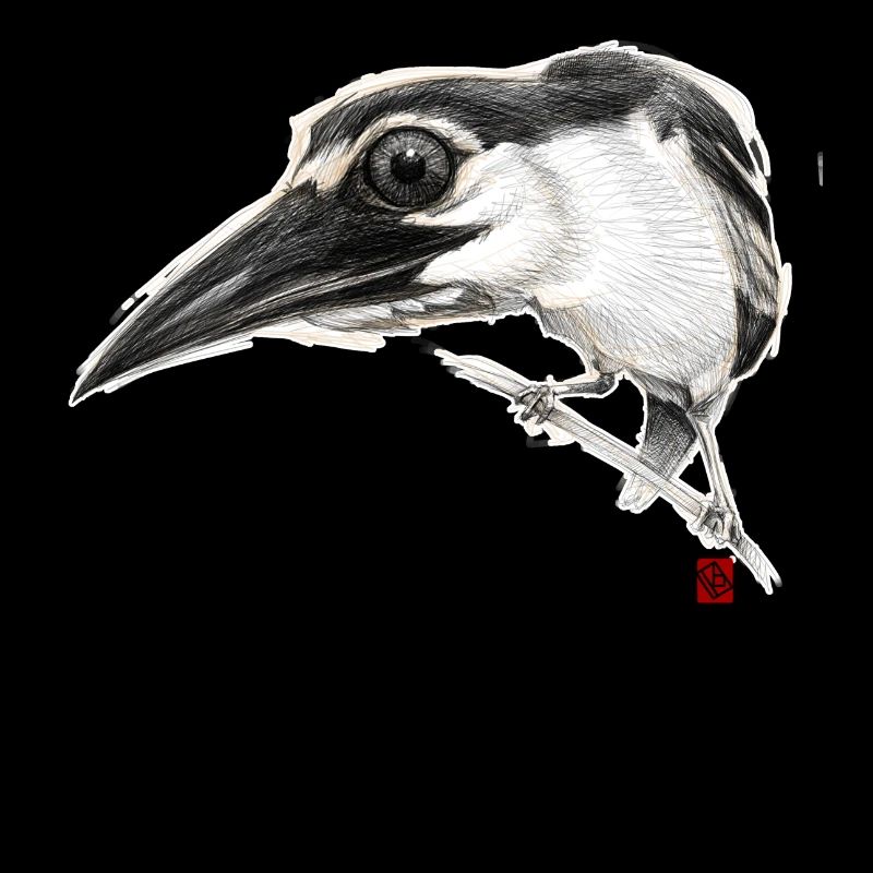 Flüchtiger Vogel # 01