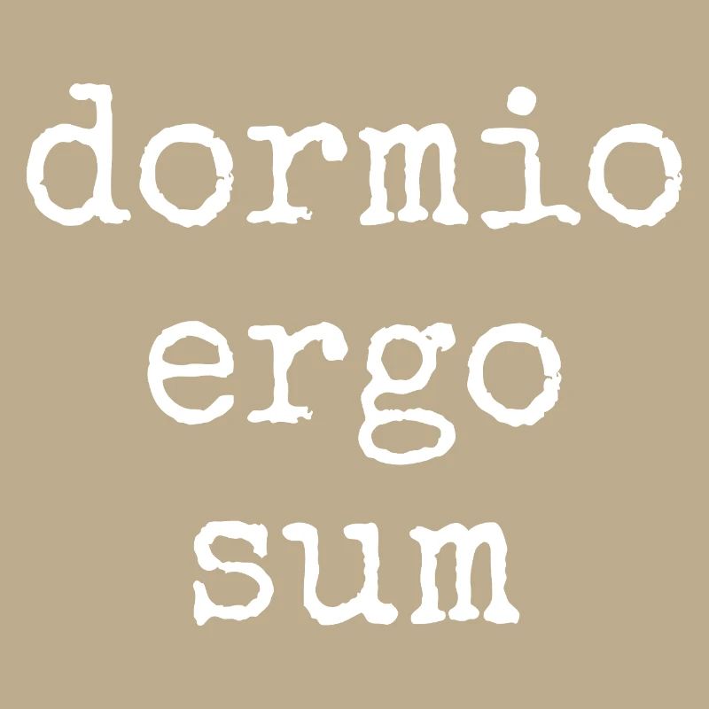 dormio ergo sum - ich schlafe also bin ich. Spruch