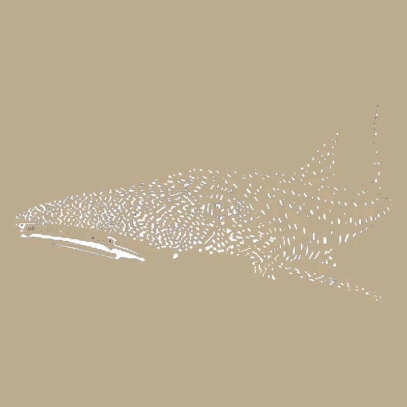 Whale shark