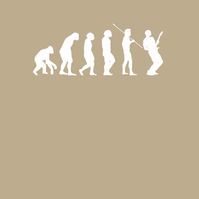 Guitare Guitar evolution Evolution