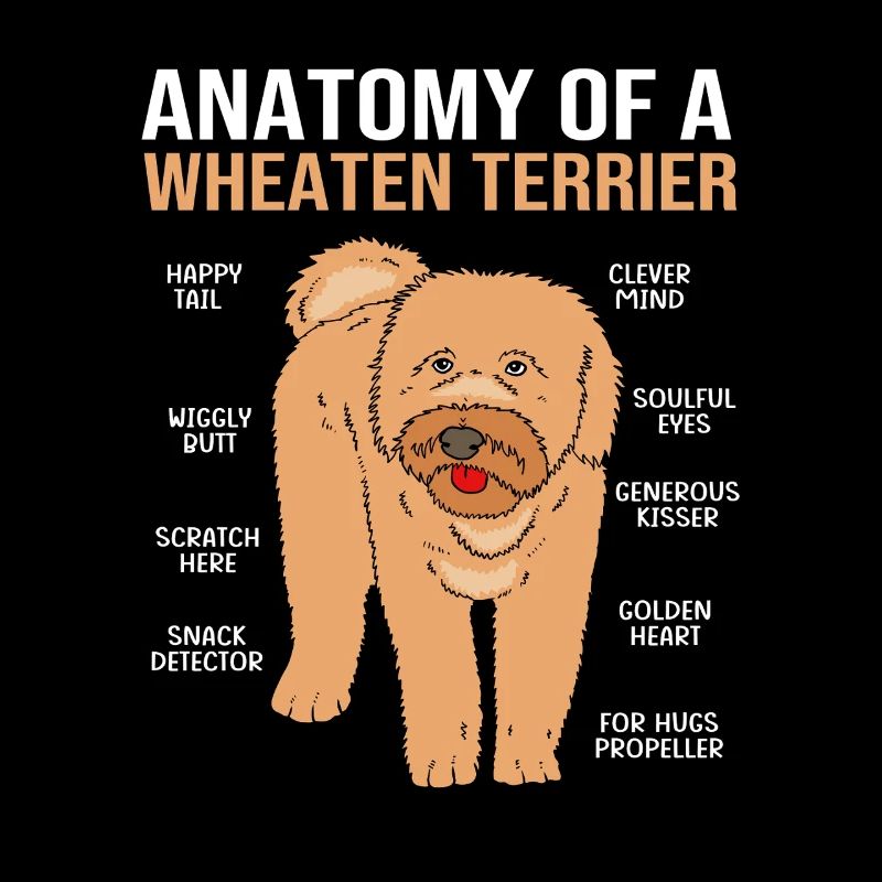 Wheaten Terrier
