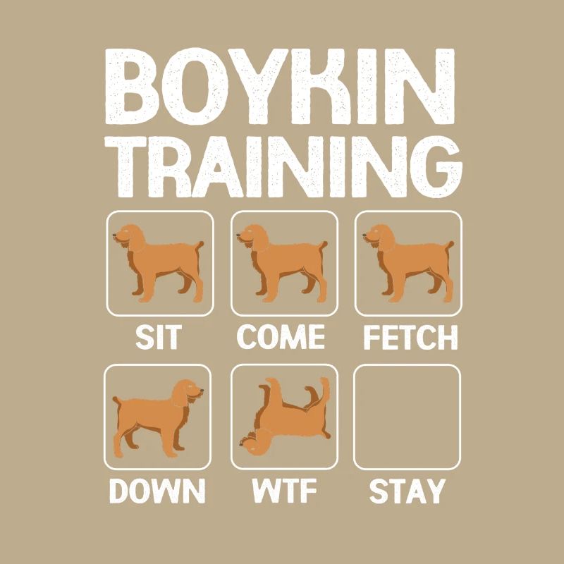 Boykin Spaniel