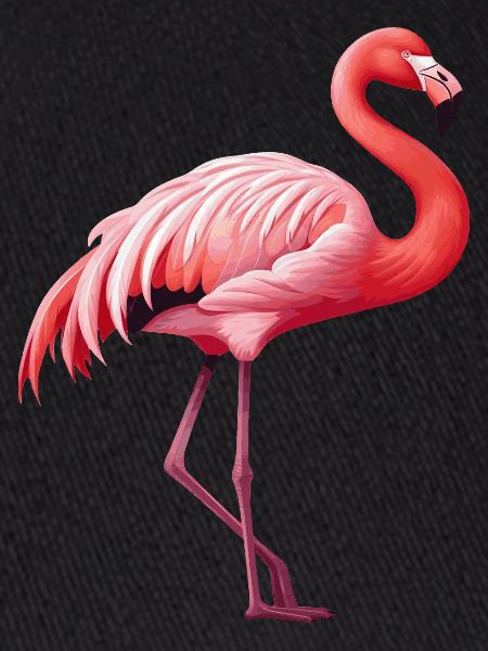 Flamant
