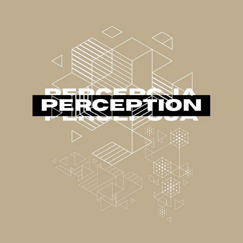 Perception Geometry Mystique