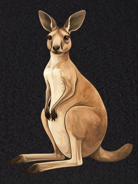 Kangourou
