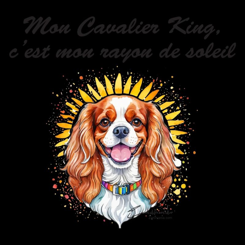 Cavalier King rayon de soleil