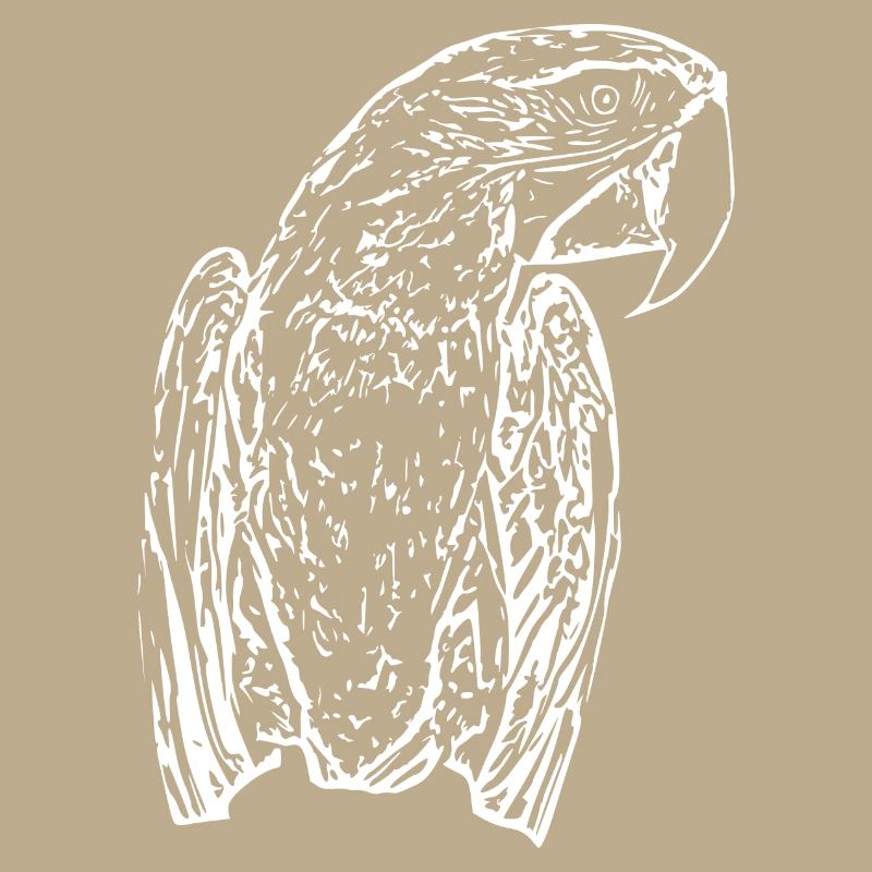 Parrots Bird White