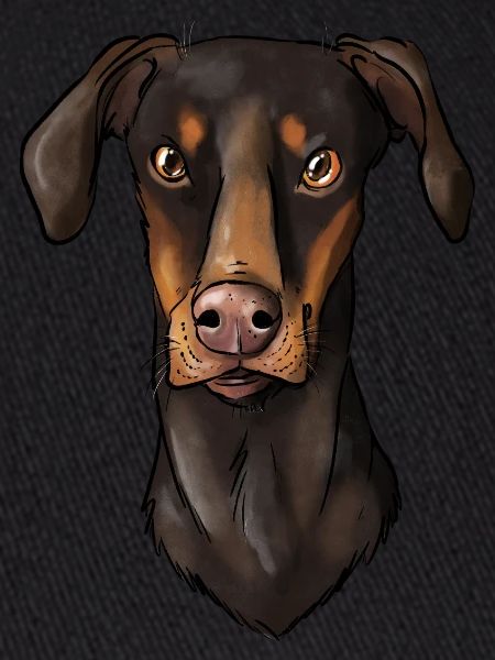 Dobermann