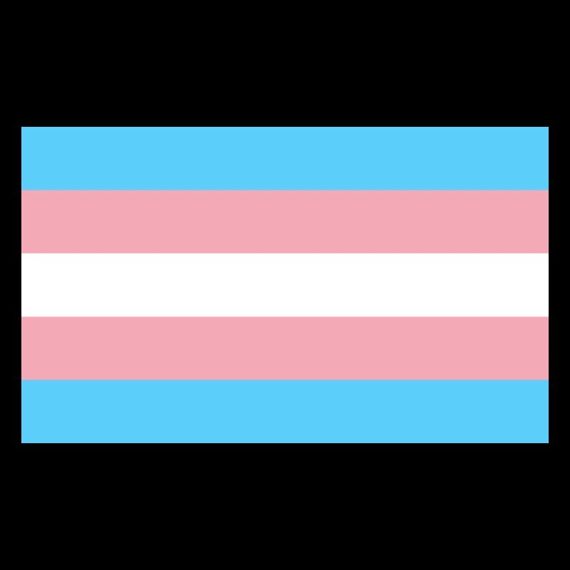 Trans Flag