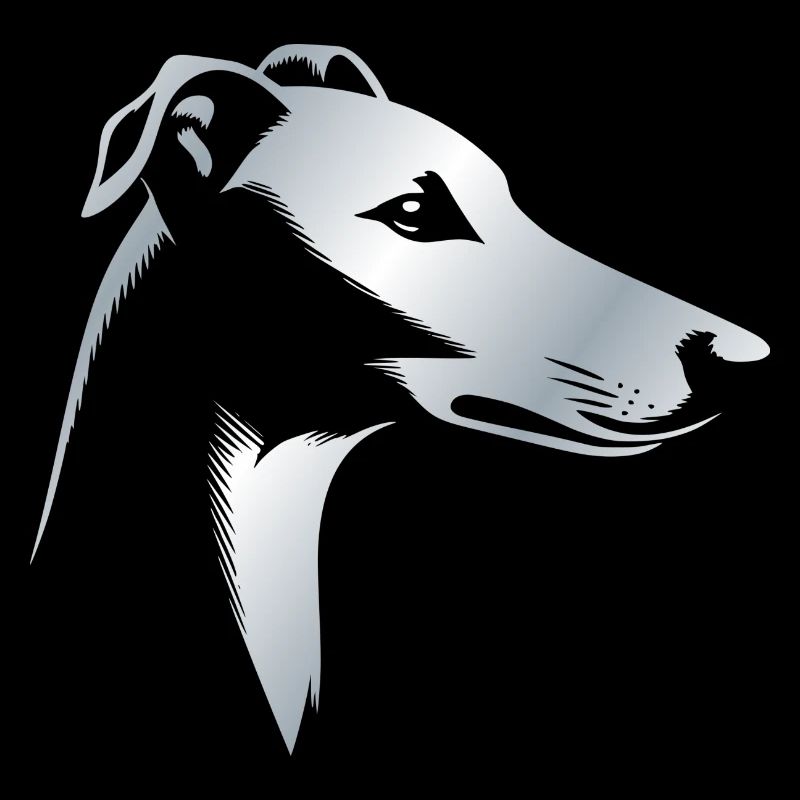 Windhund Greyhound, Hundekopf, Zeichnung silber