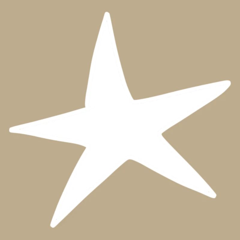 Star pattern icon
