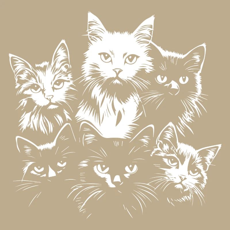 Cat Team