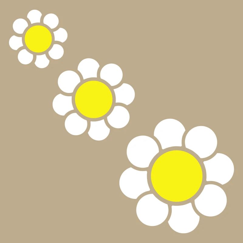 3 White Daisies Flowers Spring Summer Pretty