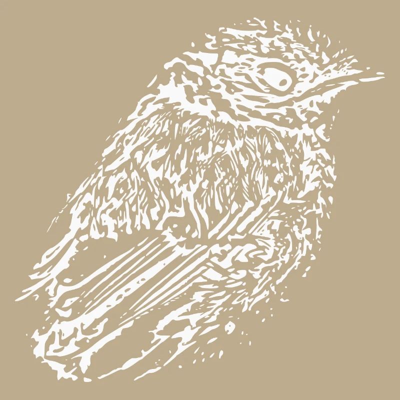 Bird white