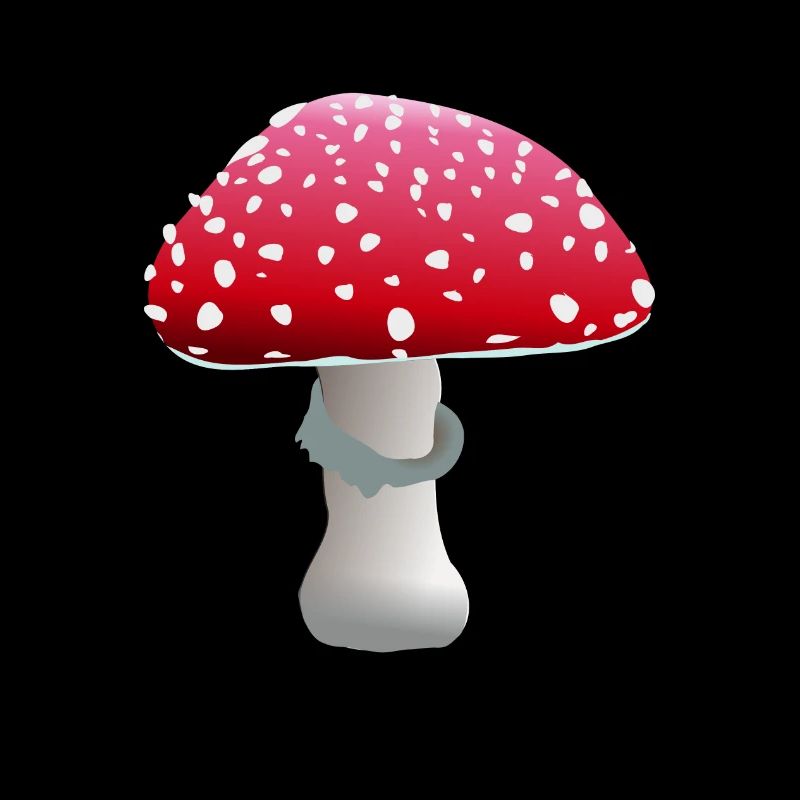 Champignon à mouches