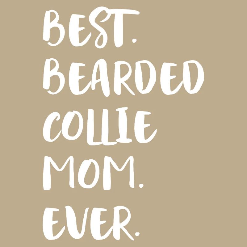 Bearded Collie