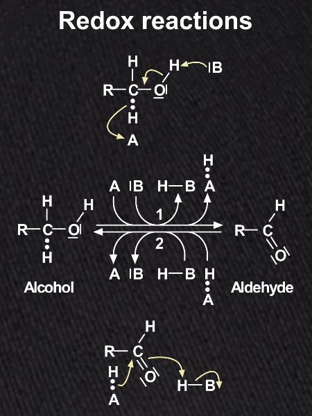 Redox-Redox-Redox-Reaktion