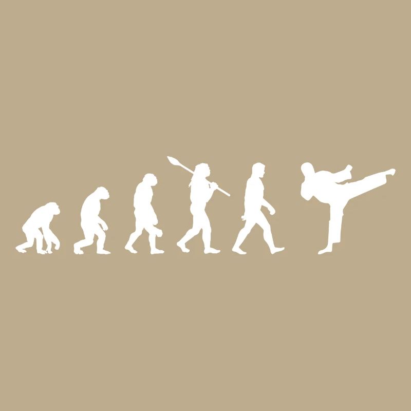Taekwondo Evolution