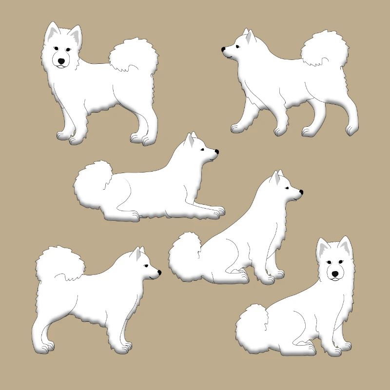 Samoyed selection