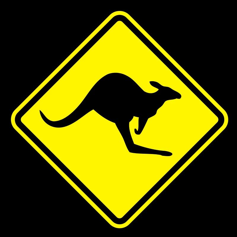 kangoroo_shield__f2