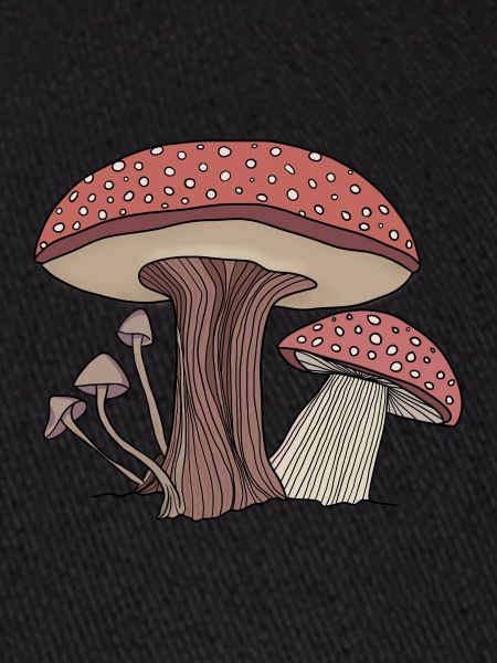 Champignons