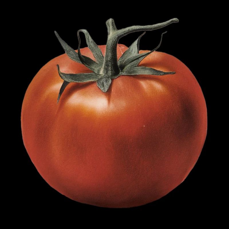 Rote Tomate