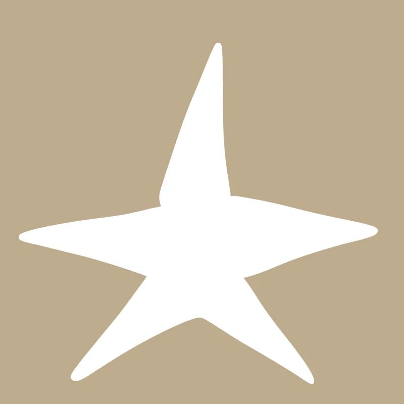 Star Symbol Shape Night