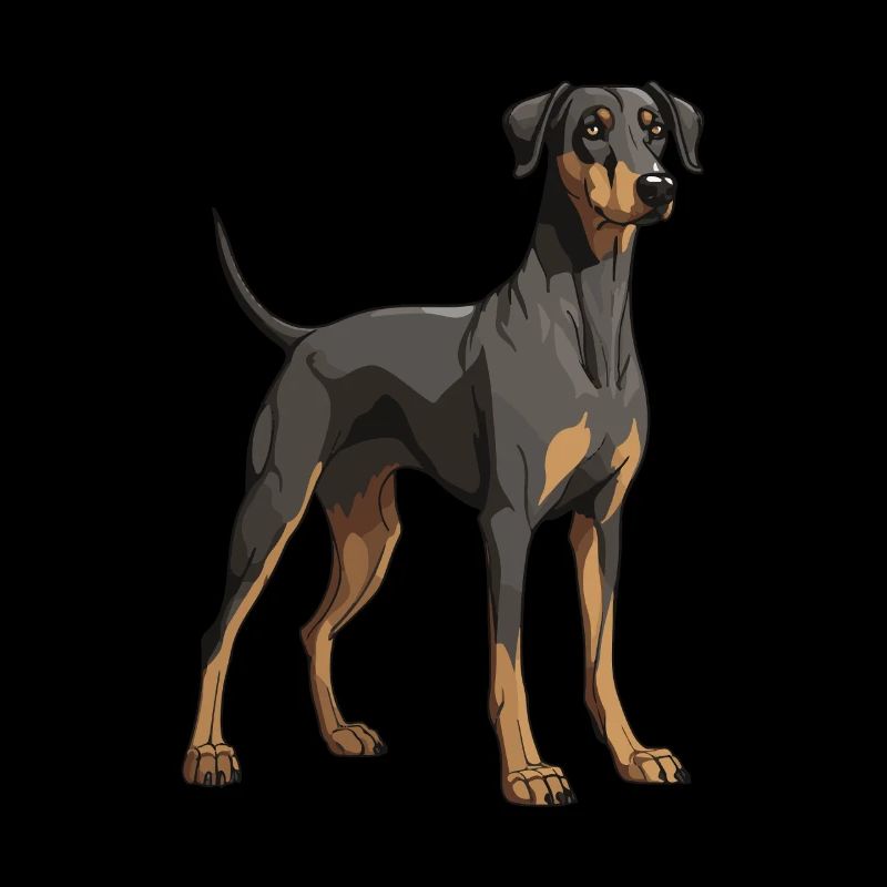 Doberman Hund
