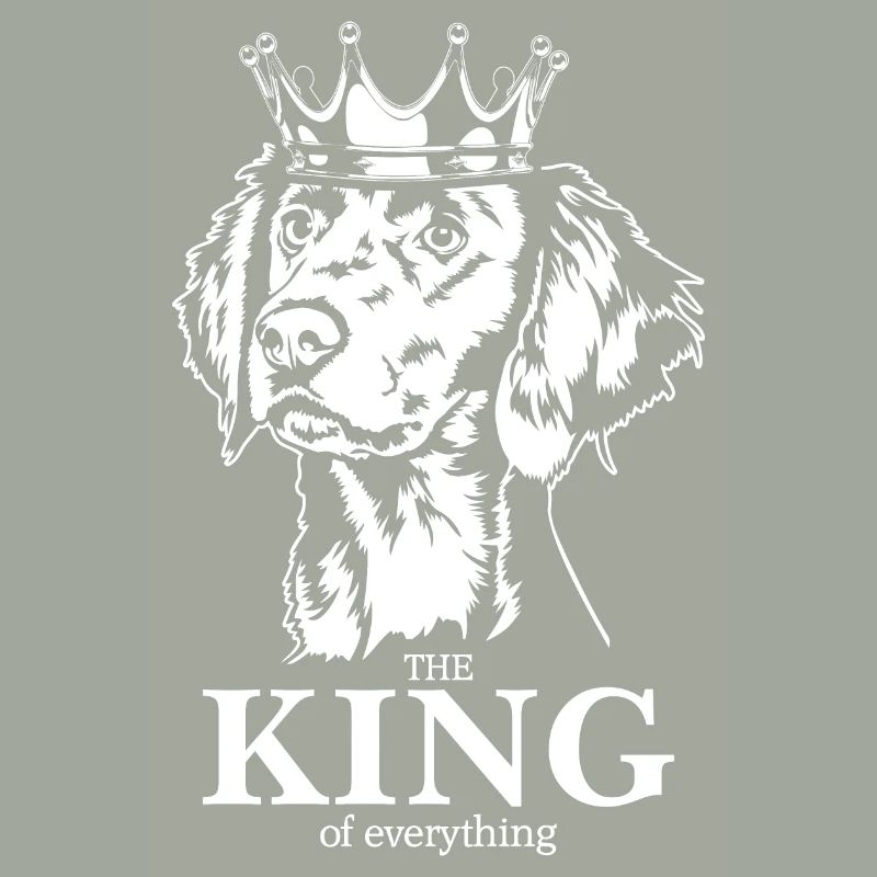 Weimaraner Langhaar King of everything Wilsigns