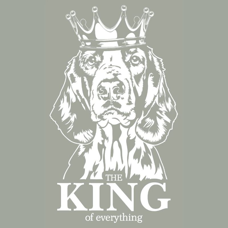 Welsh Springer Spaniel Roi de tout Wilsigns