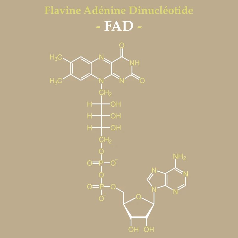 ADF Flavin-Adenin-Cofaktor