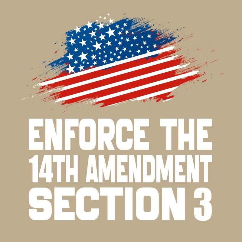 Enforce The 14TH Amendment Section 3