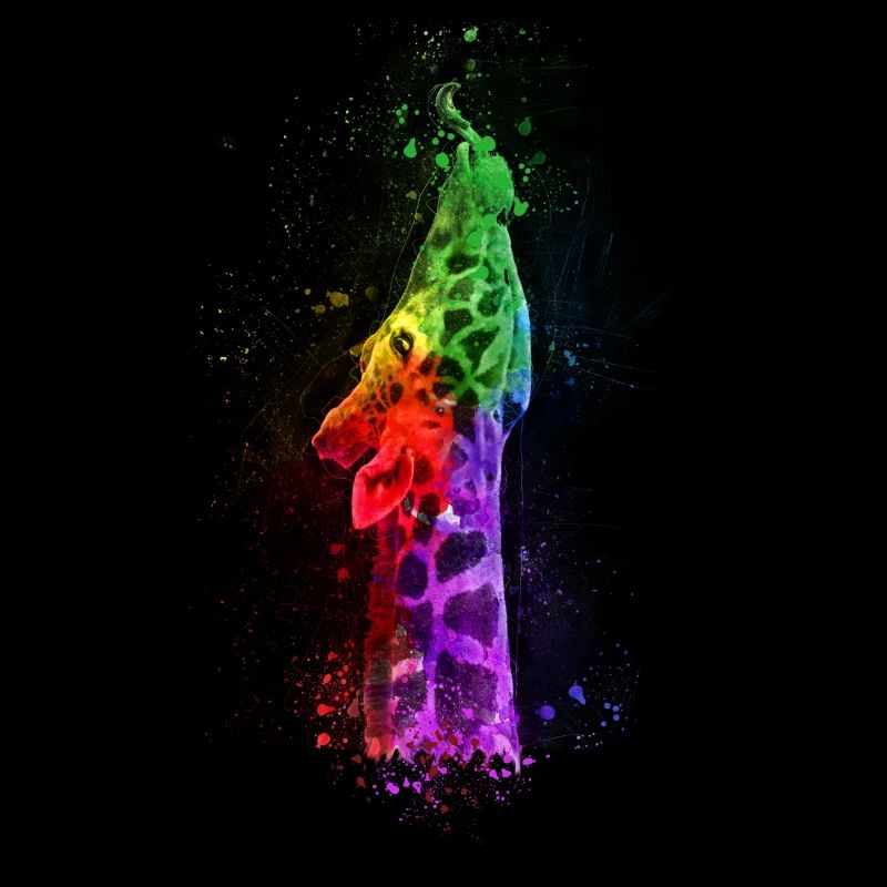 Multicolour Giraffe