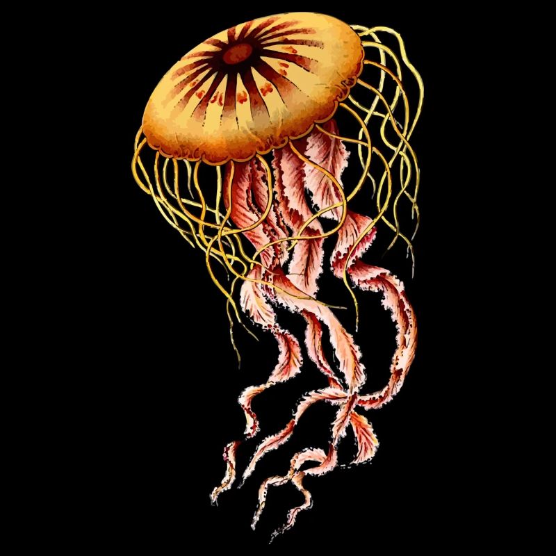 jellyfish