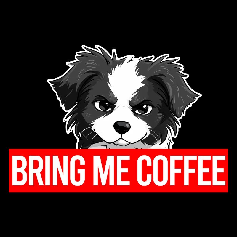Angry Collie - Bring me coffee